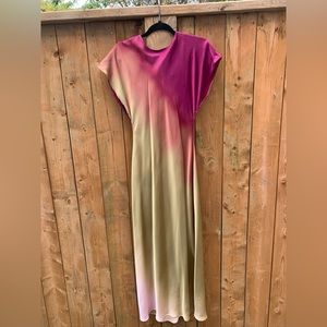 Stunning Zara Dress - new!